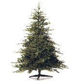 Weihnachtsbaum Spritzguss